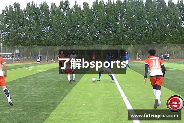 了解bsports